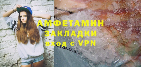 прущие грибы Балахна