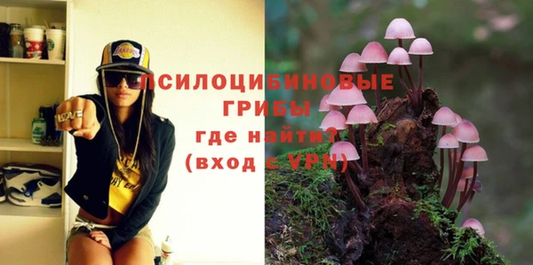 прущие грибы Балахна