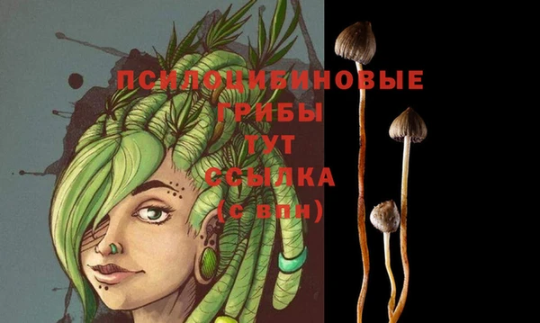 mdpv Баксан