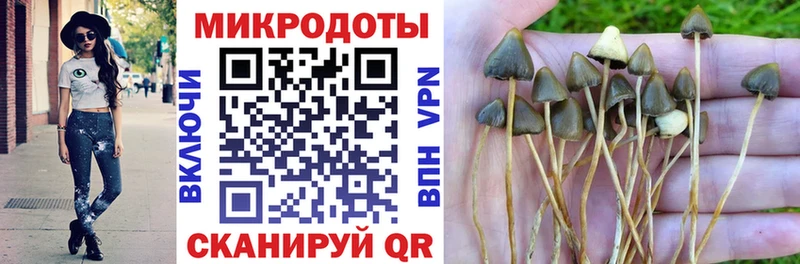 Псилоцибиновые грибы Psilocybe  Воткинск 